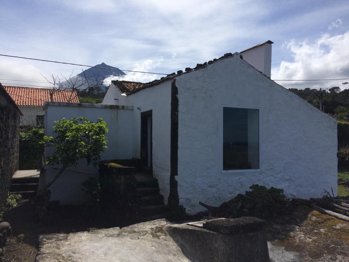 Casa Do Castanheiro Villa Santo Antonio  Dış mekan fotoğraf