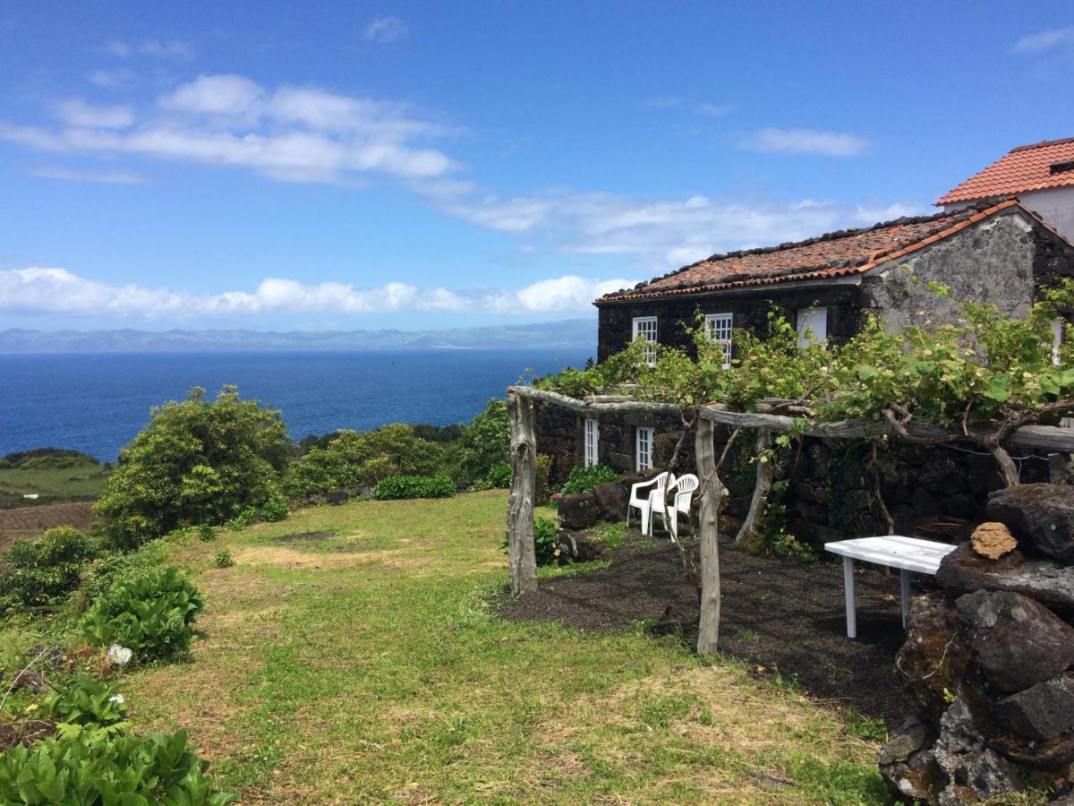 Casa Do Castanheiro Villa Santo Antonio  Dış mekan fotoğraf