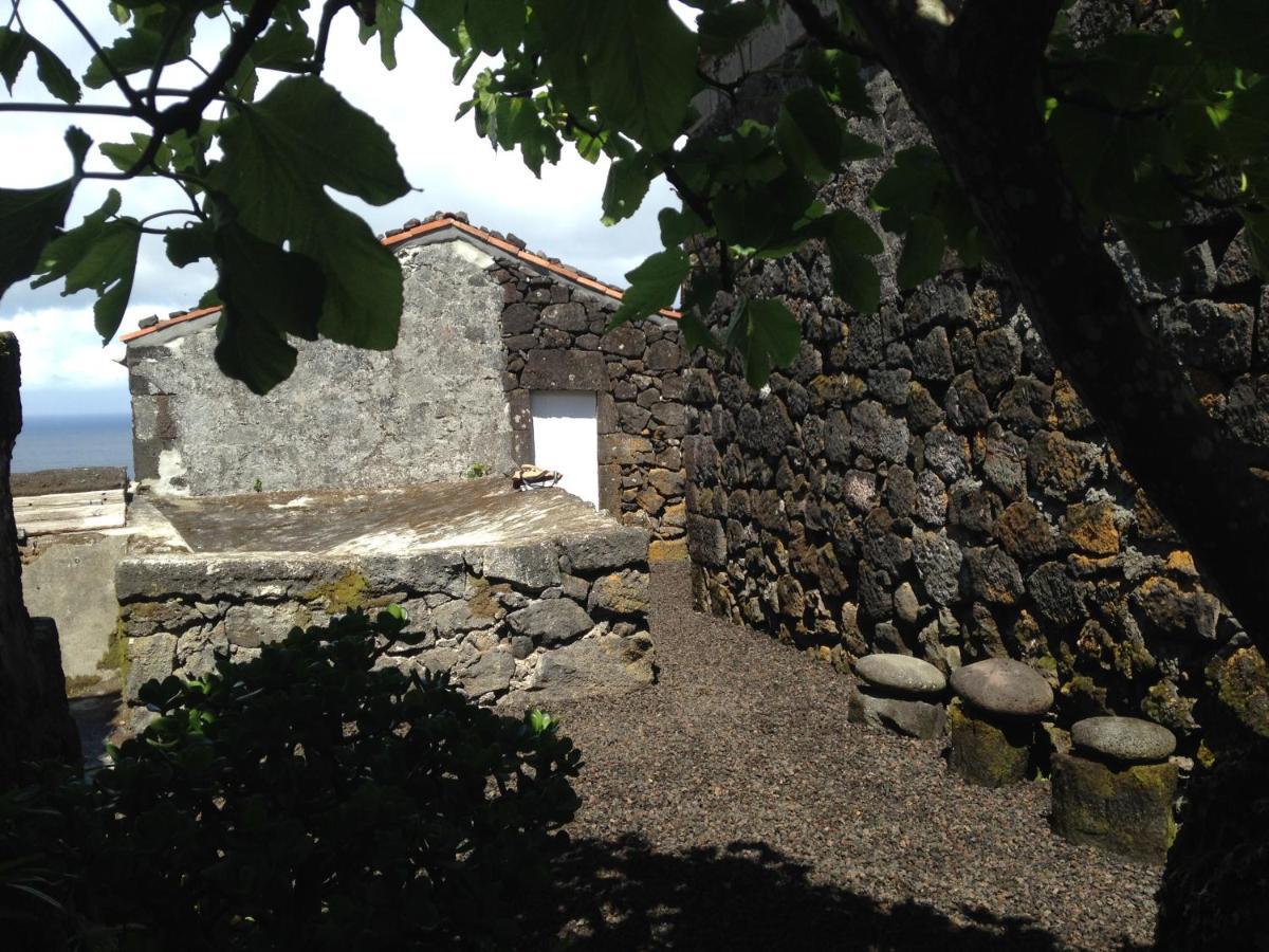 Casa Do Castanheiro Villa Santo Antonio  Dış mekan fotoğraf